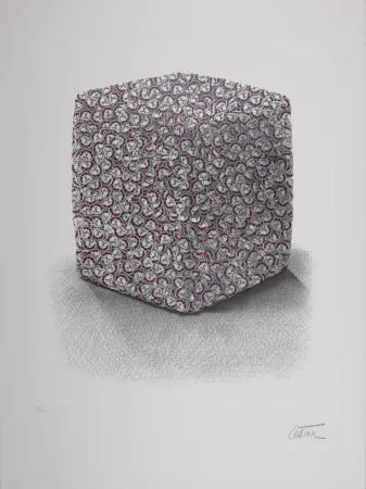 Serigrafia Cesar - Portrait de Compression, C. 1980-1985