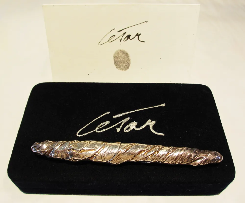 Multiplo Cesar - Sculpture stylo plume