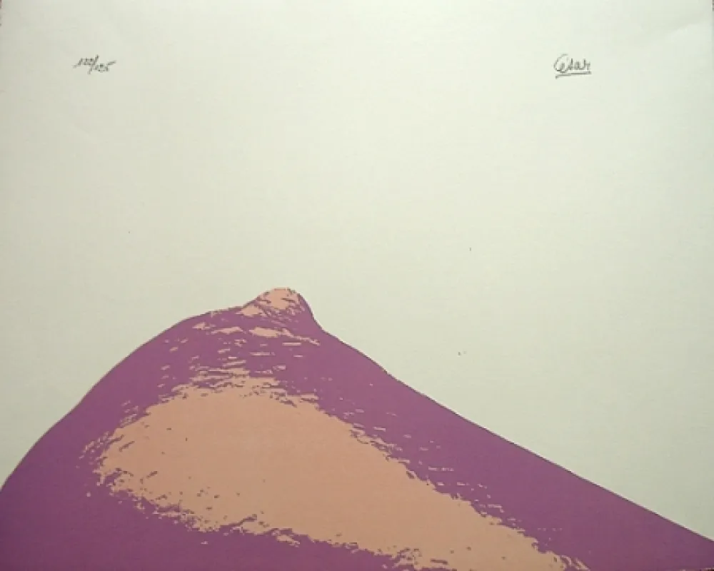 Litografia Cesar - Senza titolo,