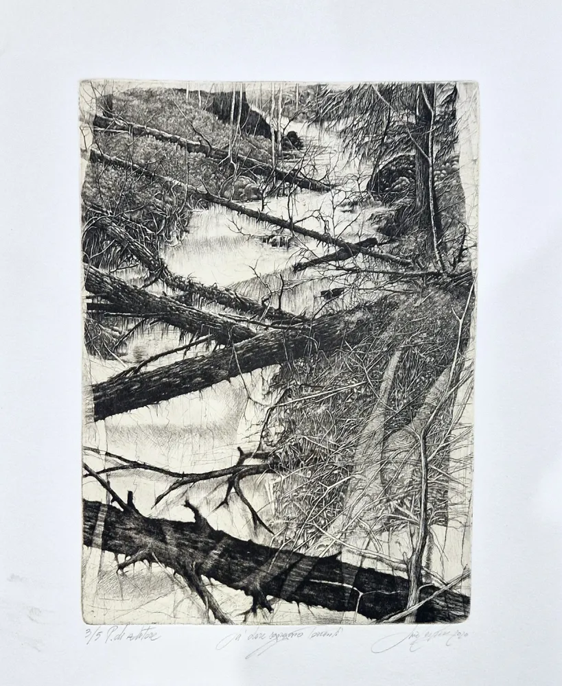 Acquaforte Ceschin - Là dove sgorgano torrenti