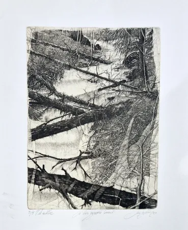 Acquaforte Ceschin - Là dove sgorgano torrenti