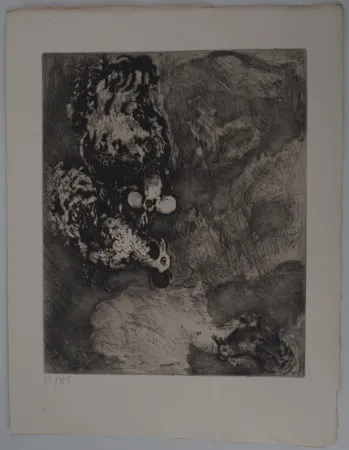 Incisione Chagall - Les deux coqs