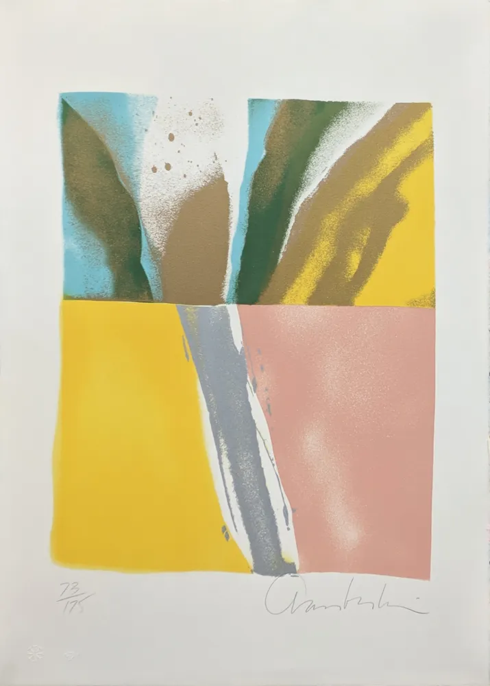 Serigrafia Chamberlain - FLASHBACK VIII