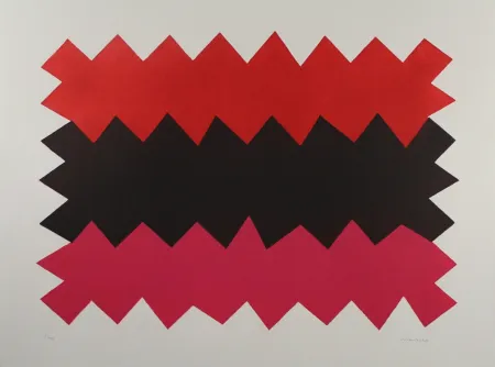 Acquatinta Chancho - Montserrat 1