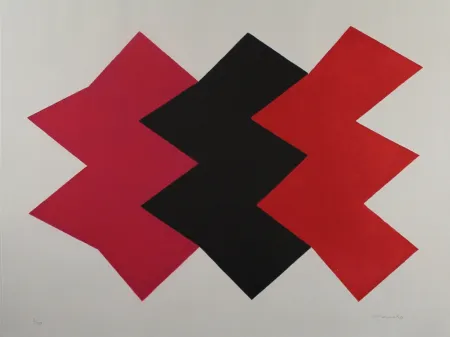 Acquatinta Chancho - Montserrat 2