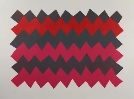 Acquatinta Chancho - Montserrat 3