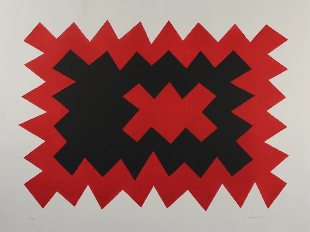 Acquatinta Chancho - Montserrat 4