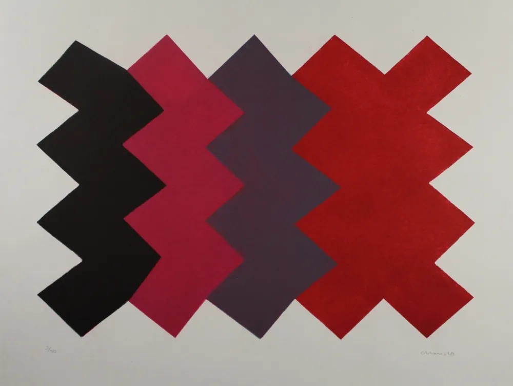 Acquatinta Chancho - Montserrat 6