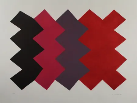 Acquatinta Chancho - Montserrat 6