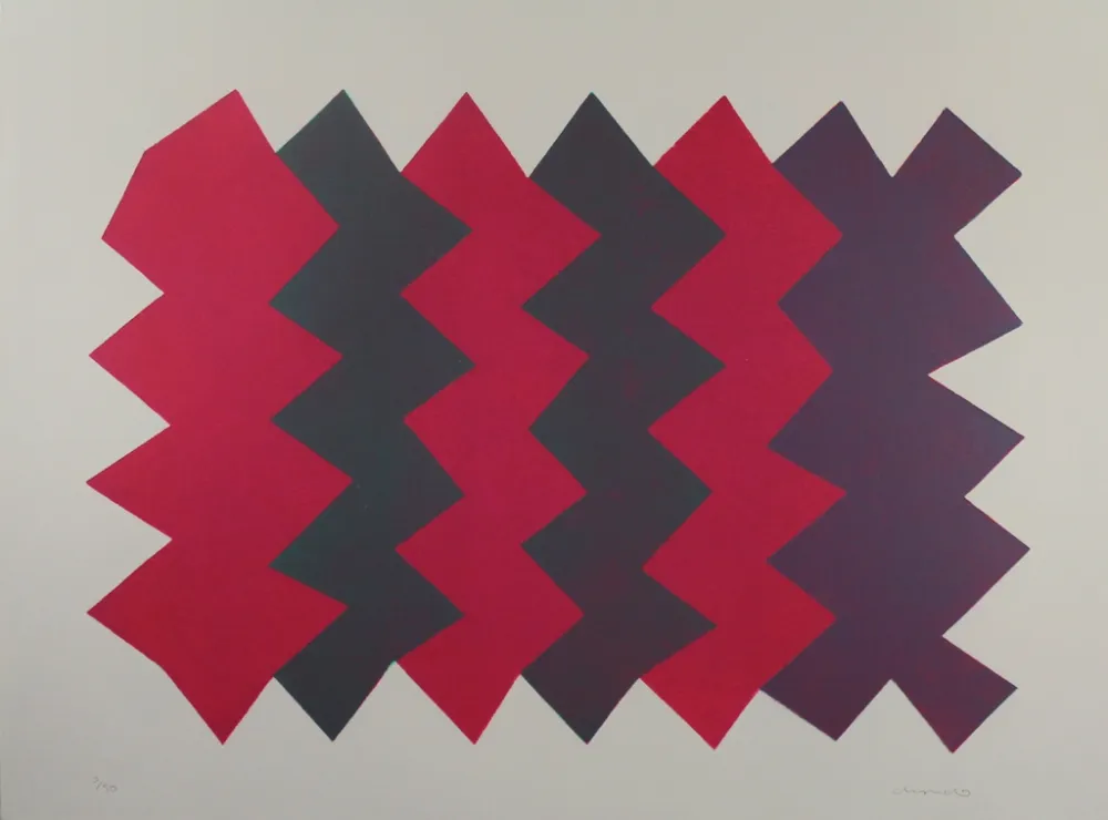 Acquatinta Chancho - Montserrat 7