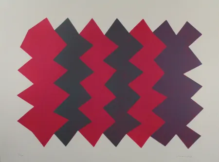 Acquatinta Chancho - Montserrat 7