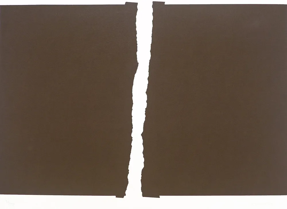 Serigrafia Chancho - S/T