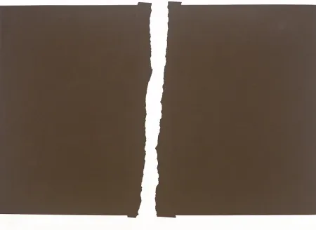 Serigrafia Chancho - S/T