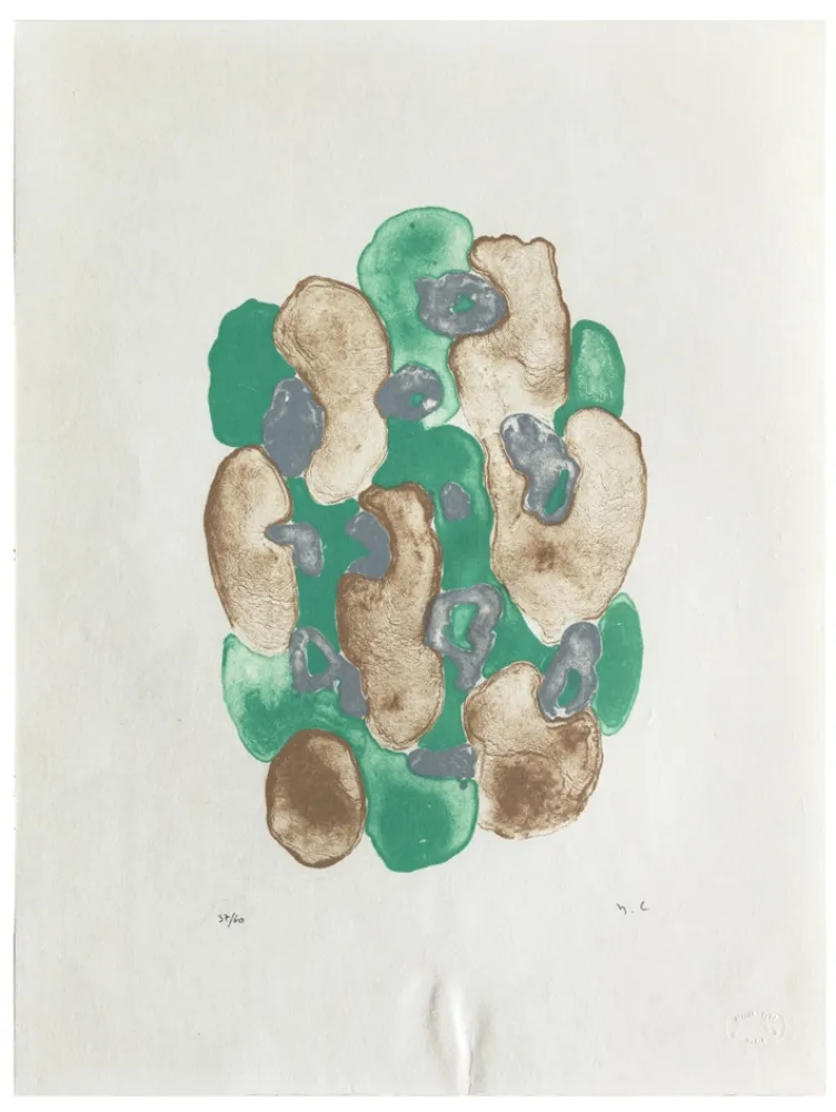 Litografia Chaudouët - Lichens 3