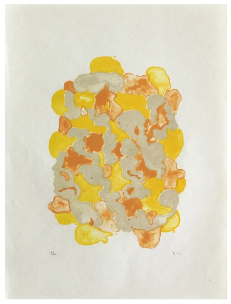 Litografia Chaudouët - Lichens 7