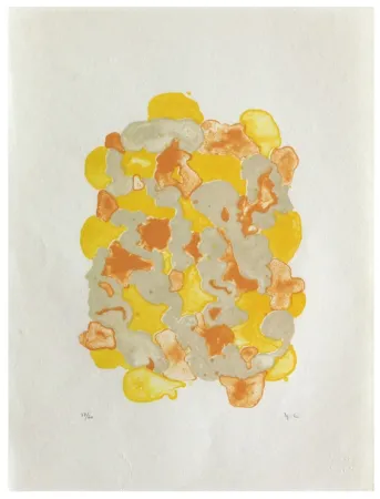 Litografia Chaudouët - Lichens 7