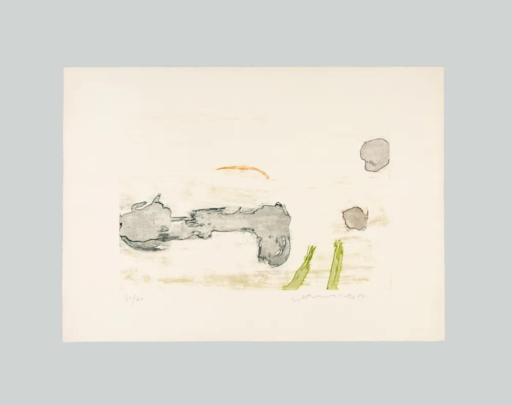 Acquaforte E Acquatinta Chin - Senza titolo