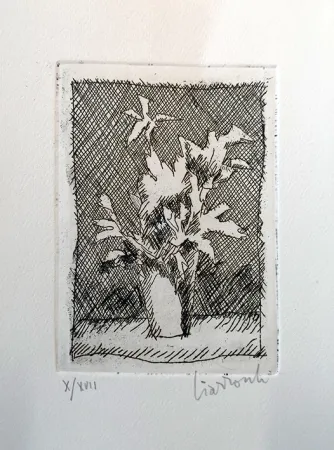 Acquaforte Ciarrocchi - Fiori