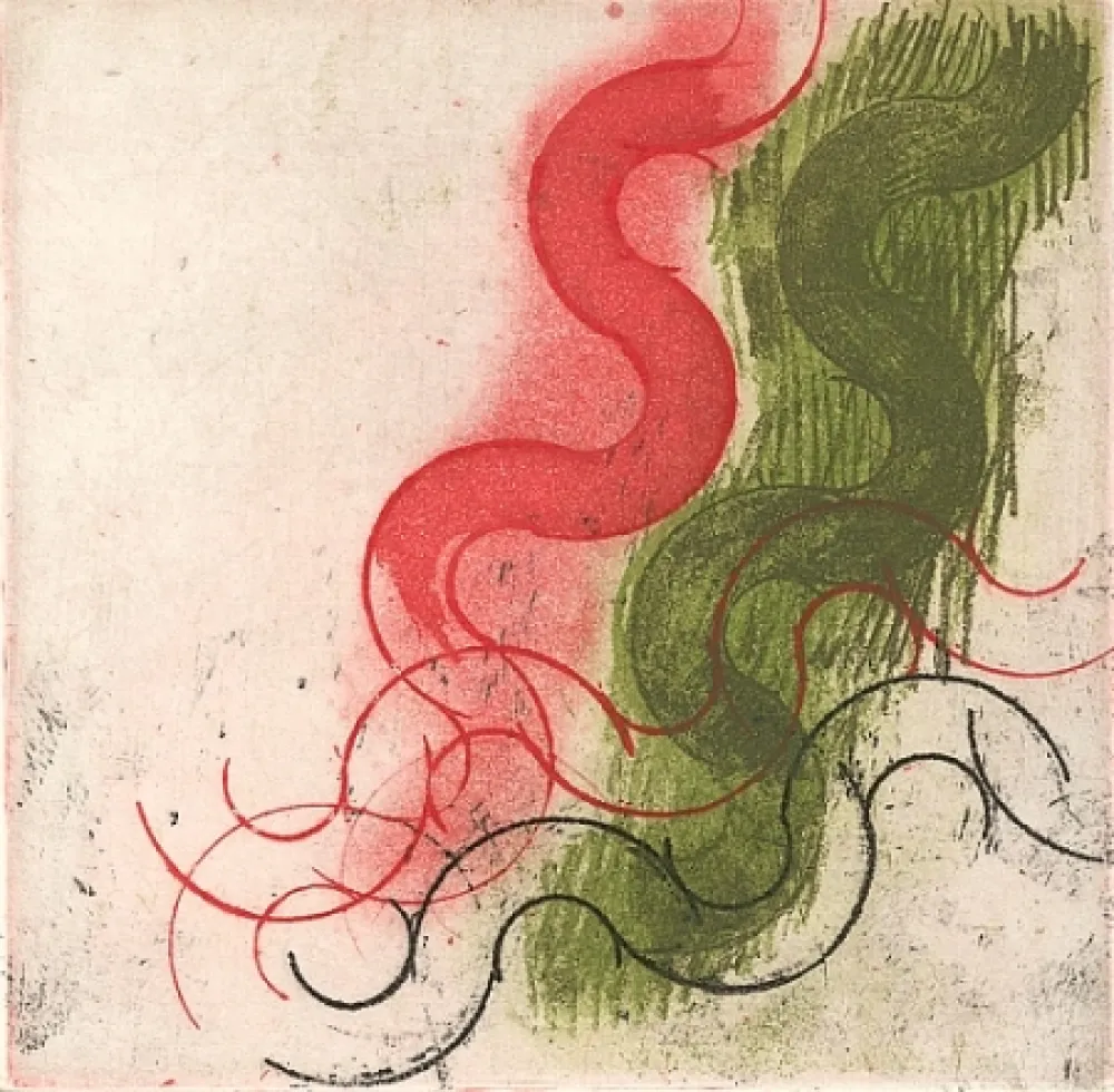 Libro Illustrato Ciussi - Es - fragmenta