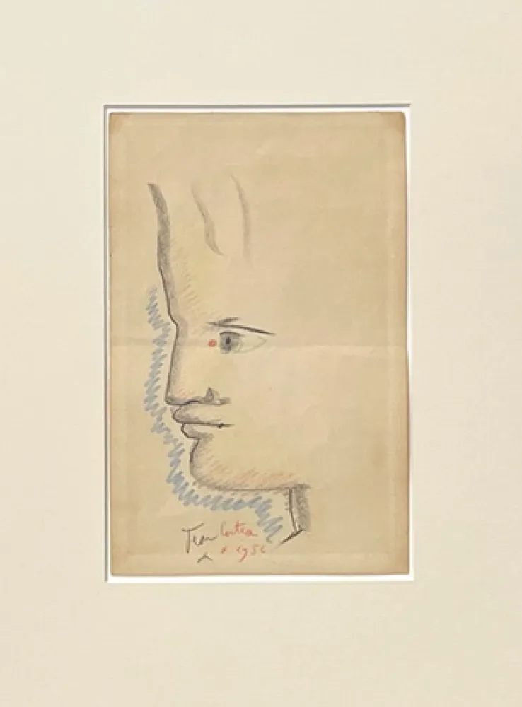 Non Tecnico Cocteau - Profil à gauche