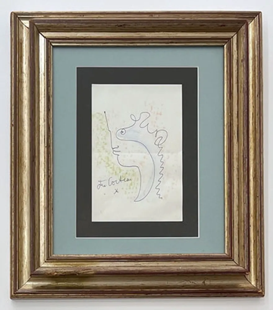 Non Tecnico Cocteau - Profil aux courbes