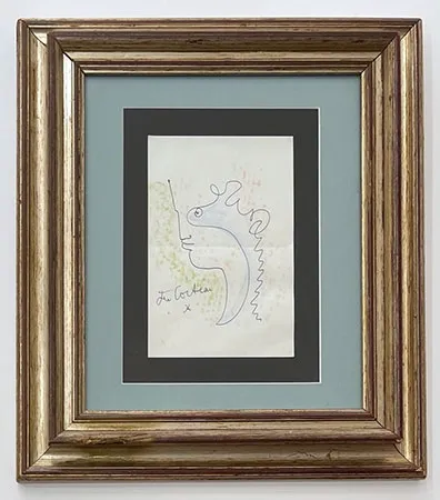 Non Tecnico Cocteau - Profil aux courbes