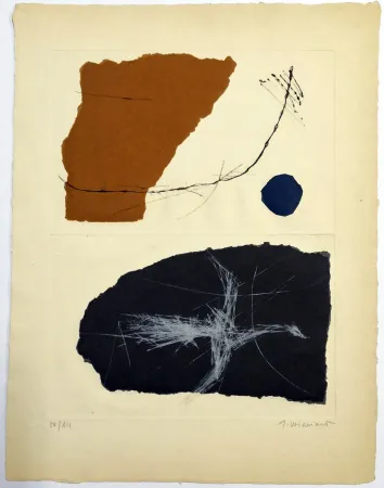 Acquaforte Coignard - Envols 1