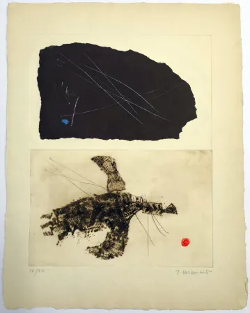 Acquaforte Coignard - Envols 3