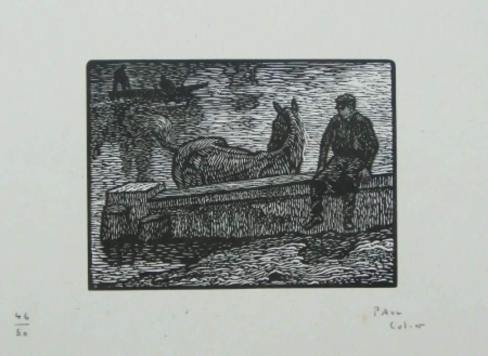 Incisione Su Legno Colin - Le cheval au bain