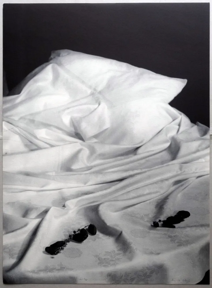 Litografia Collins - A.L. Joan Prats - Formigues