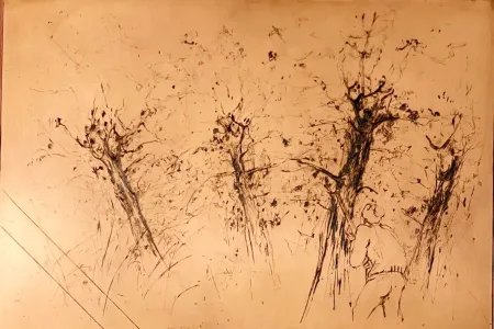 Non Tecnico Commère - Chasseur à l'affût