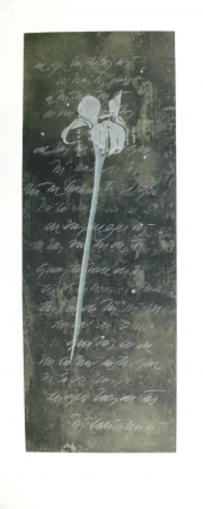 Acquaforte E Acquatinta Conte - El lenguaje de las flores I