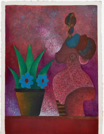 Non Tecnico Cora - La Jardinera