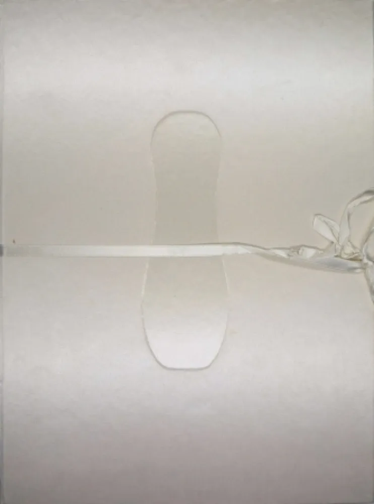 Libro Illustrato Cormenzana - Pas de dansa