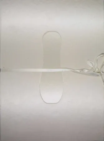 Libro Illustrato Cormenzana - Pas de dansa