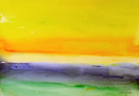 Non Tecnico Corpora - Tramonto sulla laguna