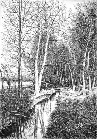 Acquaforte Cotugno  - Autunno