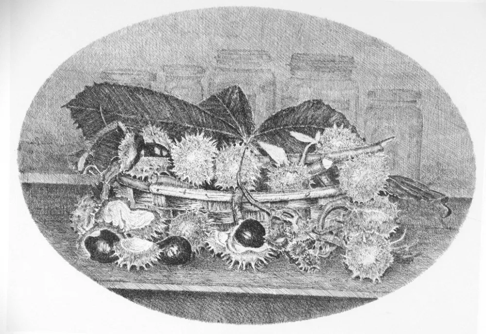 Acquaforte Cotugno  - Cestino