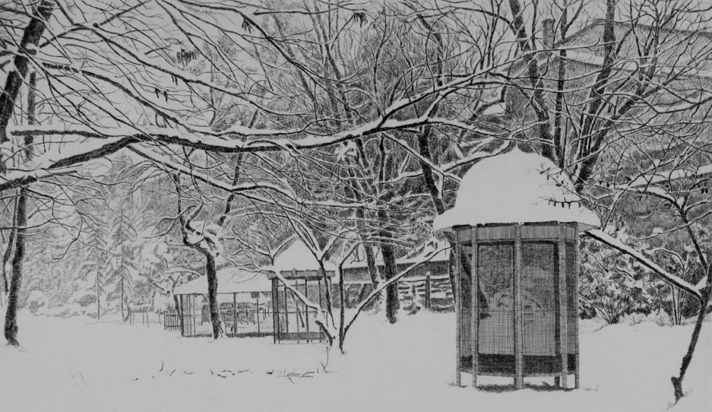 Acquaforte Cotugno  - Gennaio. Isola Carolina