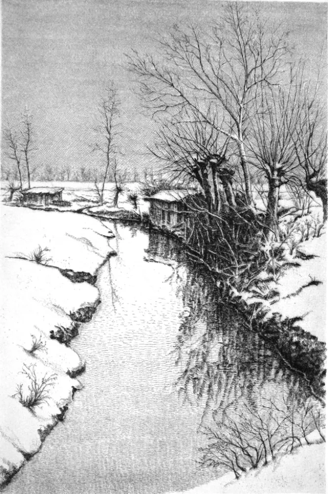 Acquaforte Cotugno  - Il Sillaro