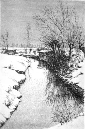 Acquaforte Cotugno  - Il Sillaro