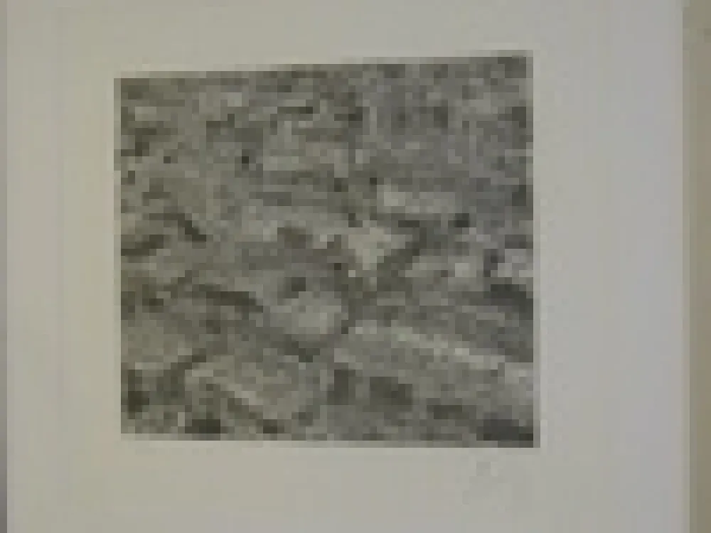 Incisione Cragg - Traffic