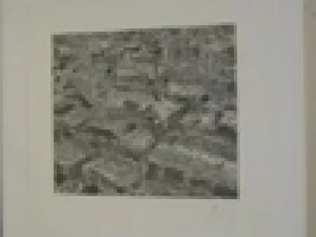 Incisione Cragg - Traffic