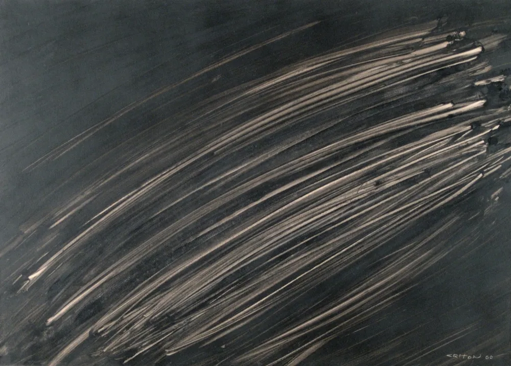 Non Tecnico Criton - Technique mixte sur papier marouflée sur toile. 