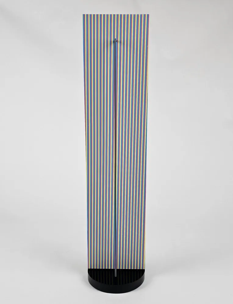 Multiplo Cruz-Diez - Couleur a l'Espace Nova, 2012