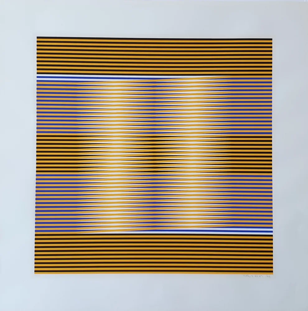 Multiplo Cruz-Diez - Untitled