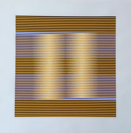 Multiplo Cruz-Diez - Untitled