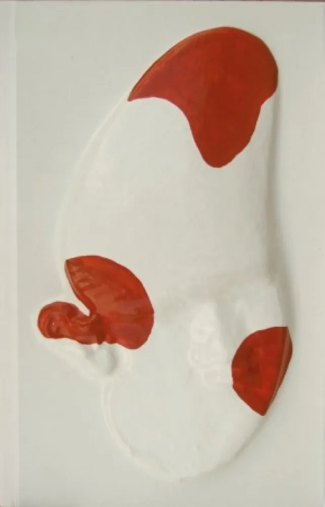 Libro Illustrato Cucchi - La grande scimmia