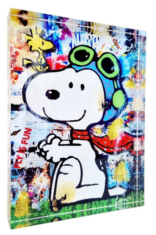 Grafica Numerica Cuencas - Snoopy fly is fun