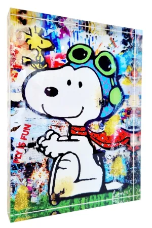Grafica Numerica Cuencas - Snoopy fly is fun